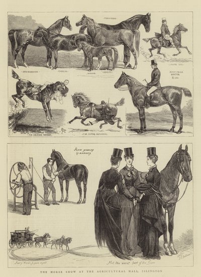 The Horse Show at the Agricultural Hall, Islington by Alfred Chantrey Corbould