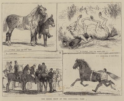 The Horse Show at the Alexandra Park by Alfred Chantrey Corbould