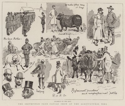 The Smithfield Club Cattle Show at the Agricultural Hall by Alfred Chantrey Corbould