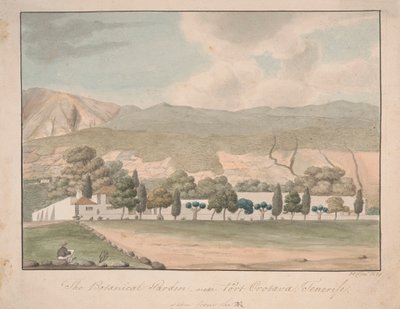 The Botanical Garden near Port Orotava, Tenerife by Alfred Diston