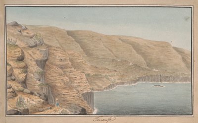 View of La Rambla de Castro near Port Orotava, Tenerife by Alfred Diston