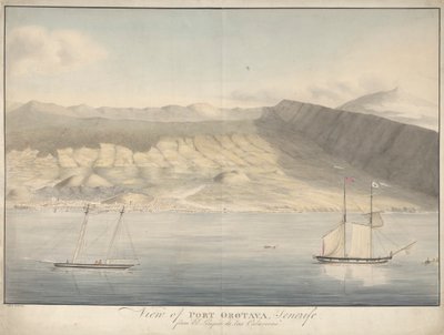 View of Port Orotava, Tenerife, from El Limpio de Las Calaveras by Alfred Diston