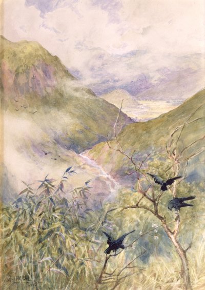 Looking Over the Lilies: The Valley of Nikko Looking Eastwards Towards the Province of Shimo-no-Tsuke by Alfred East