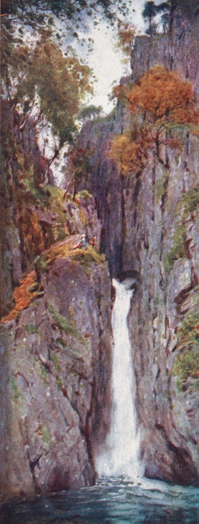 Lake District: Dalegarth Force, Eskdale by Alfred Heaton Cooper