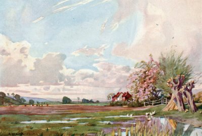 The Isle of Athelney by Alfred Heaton Cooper