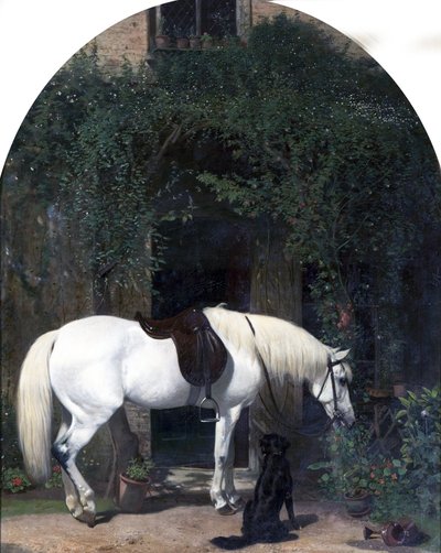 White Horse and Retriever by Alfred Hichens Corbould