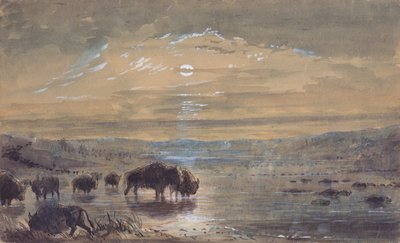 Night Scene, Buffaloes on the Prairie, c.1837 by Alfred Jacob Miller