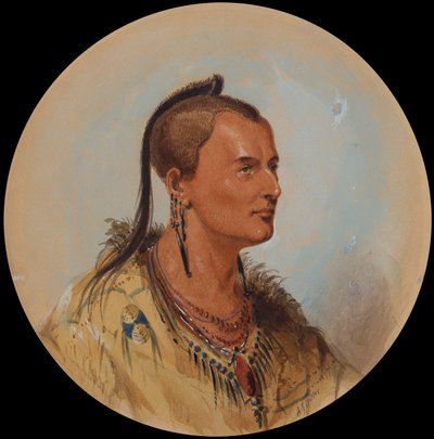 Sioux Brave by Alfred Jacob Miller
