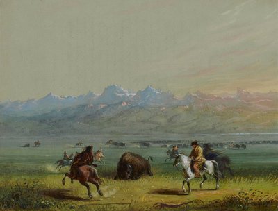 Wounded Buffalo by Alfred Jacob Miller