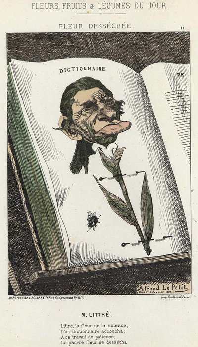 Déséchée flower: cartoon on Littré - ill. from 