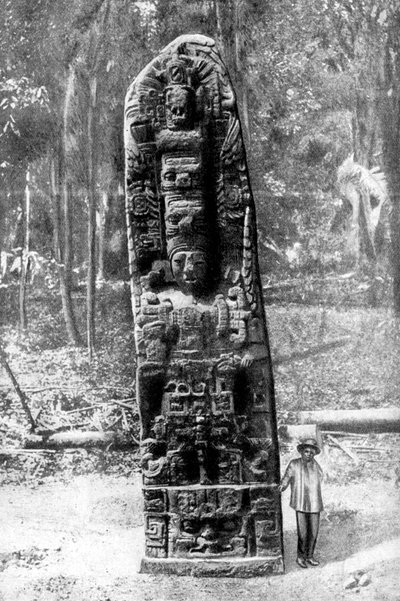 A Mystery Monolith in the Primeval Forest of Quirigua, Guatemala by Alfred P Maudsley