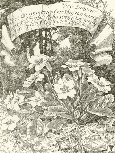 Pale Primroses by Alfred Parsons