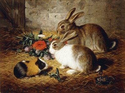 Escaped: Two Rabbits and Guinea Pig by Alfred R. Barber