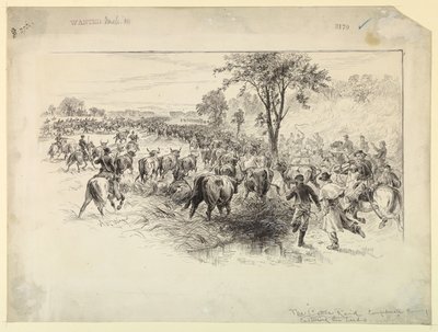 The Cattle Raid by the Confederate Cavalry by Alfred R. Waud