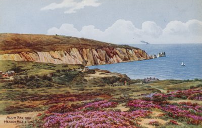 Alum Bay, from Headon Hill, IOW by Alfred Robert Quinton