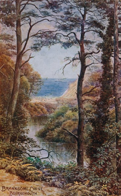Branksome Chine, Bournemouth by Alfred Robert Quinton
