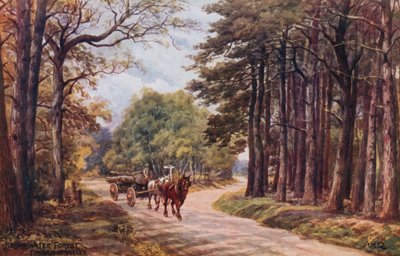 Broadwater Forest, Tunbridge Wells by Alfred Robert Quinton