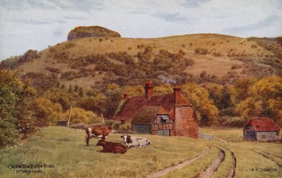Chanctonbury Ring, Worthing by Alfred Robert Quinton