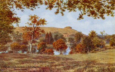 Chanctonbury Ring, from Wiston Pond, South Downs by Alfred Robert Quinton