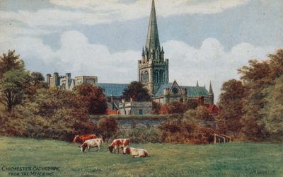 Chichester Cathedral from the Meadows by Alfred Robert Quinton