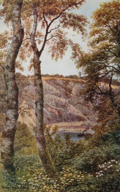 Clifton, Nightingale Valley by Alfred Robert Quinton