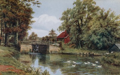 Coltishall Lock, on the Bure by Alfred Robert Quinton
