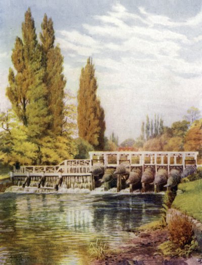 Eel Traps at Hedsor by Alfred Robert Quinton
