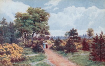 Harlow Moor, Harrogate by Alfred Robert Quinton