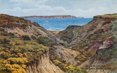 Isle of Wight, from Becton Bunny, Barton-on-Sea by Alfred Robert Quinton