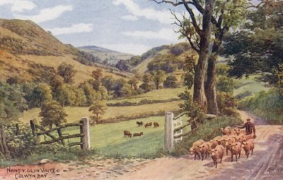 Nant Y Glyn Valley, Colwyn Bay by Alfred Robert Quinton