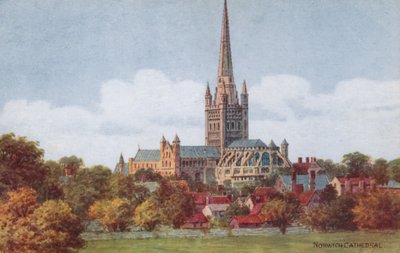 Norwich Cathedral by Alfred Robert Quinton