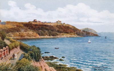 Pendennis Point, Falmouth by Alfred Robert Quinton