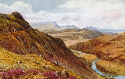 Precipice Walk, Dolgelley by Alfred Robert Quinton