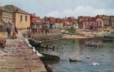 Seagulls in the Harbour, St Ives, Cornwall by Alfred Robert Quinton