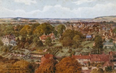 Sevenoaks from Parish Church Tower by Alfred Robert Quinton