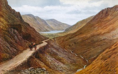 Tal-y-Llyn Pass by Alfred Robert Quinton