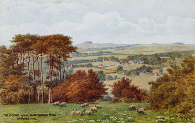 The Downs with Chantonbury Ring, Nr Worthing by Alfred Robert Quinton