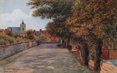 The East Walls, Chichester by Alfred Robert Quinton