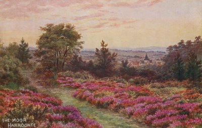 The Moor, Harrogate by Alfred Robert Quinton