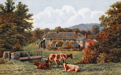 The Old Mill, Lyme Regis by Alfred Robert Quinton
