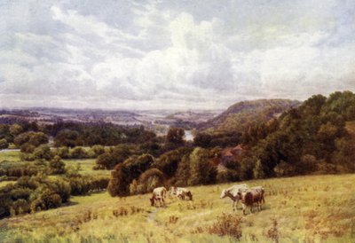 The Thames Valley from Hennerton, Henley by Alfred Robert Quinton
