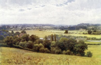 The Vale of Shiplake, from Hennerton by Alfred Robert Quinton