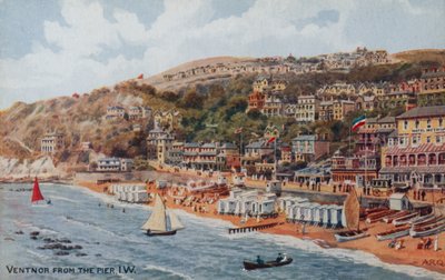 Ventnor from the Pier, Isle of Wight by Alfred Robert Quinton