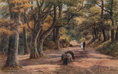 Weston-Super-Mare, Kewstoke Woods by Alfred Robert Quinton