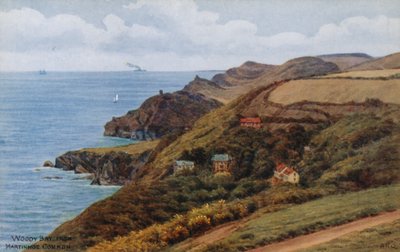 Woody Bay, from Martinhoe Common by Alfred Robert Quinton