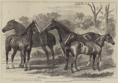Prize Horses in the Show at the Agricultural Hall by Alfred Sheldon Williams