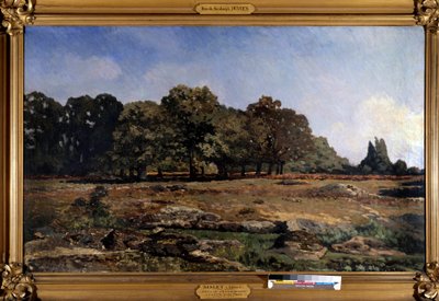 Allee of Chestnut Trees to the Celle Saint Cloud by Alfred Sisley