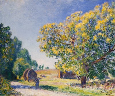 Around the Forest, a Clearing by Alfred Sisley