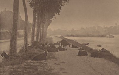 A Decorative Panel by Alfred Stieglitz