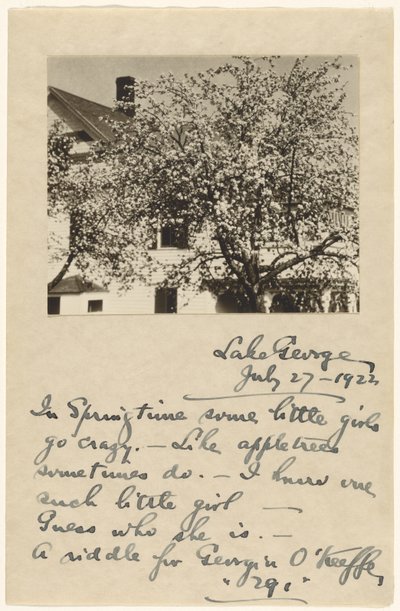 Apple Blossoms by Alfred Stieglitz